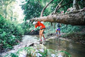 BIB: 
                            <button type="button" onclick="openModal(25433900)" class="btn btn-primary btn-sm float-right btn-popup" data-toggle="modal" data-target=".modal-high-quality">
                        <i class="fas fa-shopping-cart"></i> Add to Cart
                    </button>
                                            <button type="button" onclick="isThisMe(25433900, true)" class="btn btn-success btn-sm float-right btn-popup btn-isme hidden" data-toggle="tooltip" data-placement="bottom" title="นี่คือรูปของคุณใช่ไหม คลิกที่นี่เพื่อเอาเข้าอัลบั้ม">
                        <i class="fas fa-plus"></i> Add to album
                    </button>
                    <button type="button" onclick="isThisMe(25433900, false)" class="btn btn-warning btn-sm float-right btn-popup btn-isnotme hidden">
                        <i class="fas fa-ban"></i> Remove from album
                    </button>